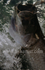 Leaping Tarpon