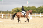 SBM_001852