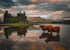 Cows and Castle on a beautiful evening