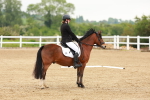 SBM_005283