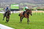 240126-Race 6-The New Lion-7478