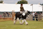 SBM_06207