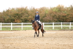 SBM_000696