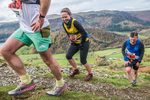 Stybarrow Dodd-530