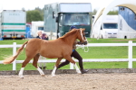 SBM_02450