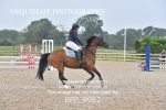 23rd JULY 2025 - WED EVE Senior British Showjumping Cat 1 - Muirmill EC portfolio