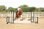 SBM_022874