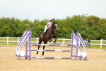 SBM_001199