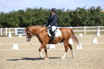 SBM_013871
