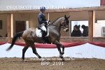BPP_2191