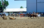 3HRodeo8-11-25_PRCASteer_01505_