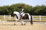 SBM_008619