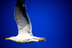20100826_0144_2