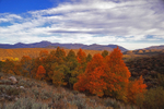Photo of the Week 9/26/2011
