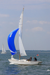 180526 OTTER GBR729 1Y3A1987