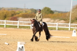 SBM_000934