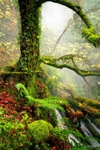 Autumn-Atmosphere