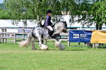 SBM_19356