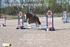 BPP_0972