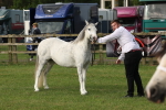 SBM_00550