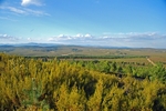 Sierra de la Culebra, Castille y Leon, Spain