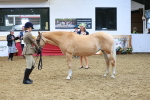 SBM_09816