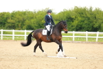 SBM_006618