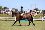 3E7A7522