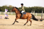 SBM_000253