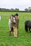 S42 - Junior Handler 9-12 Years portfolio