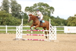 SBM_002984