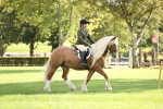 SBM_26357