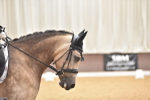 SBM_010335