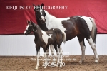 JAC_5470
