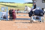 BPP_5789