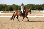SBM_006957