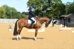 SBM_22528