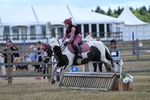 WJ7_0665