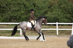 SBM_001880
