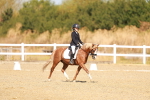 SBM_017582
