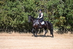 WJ6_6739