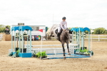 SBM_018906
