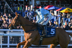 251025-Race 6-Leave Of Absence-9920