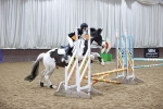 SBM_000796