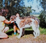 RU Ch Miskat Tzarai at 5 months