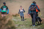 Black Combe-1106