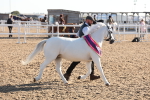 SBM_10813