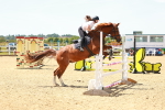 SBM_006226