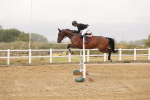 SBM_024196