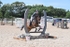 BPP_8737